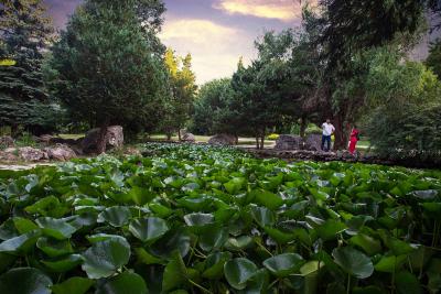 Прикрепленное изображение: IMG_8850.jpg